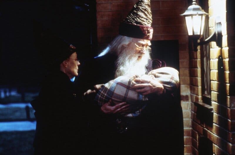 Гарри Поттер в младенчестве