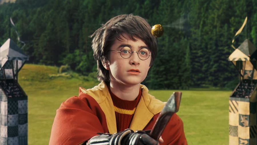 Гарри Поттер и золотой снитч