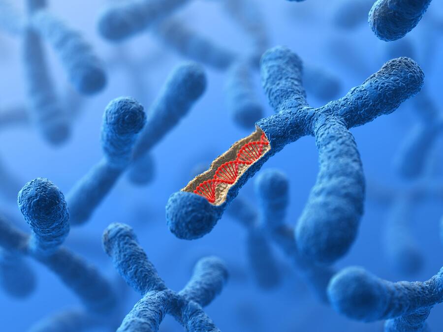 Сколько хромосом положено иметь человеку?
